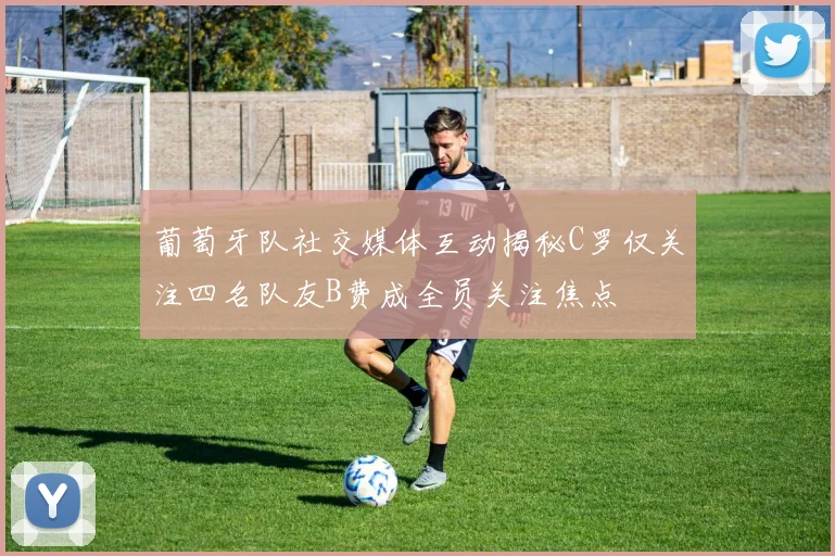 葡萄牙队社交媒体互动揭秘C罗仅关注四名队友B费成全员关注焦点